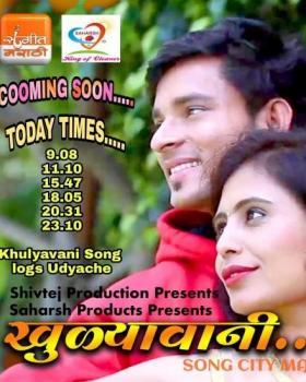 Shivanjaly Patil portfolio image4