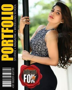 Bollywoodfox portfolio image5