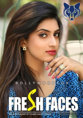 Bollywoodfox portfolio image3