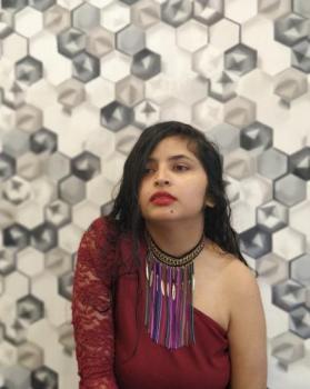 Shaurya Pattnaik portfolio image6