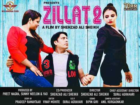 Shehzad Ali Sheikh portfolio image2