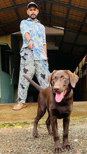 Hamza BaBa portfolio image1