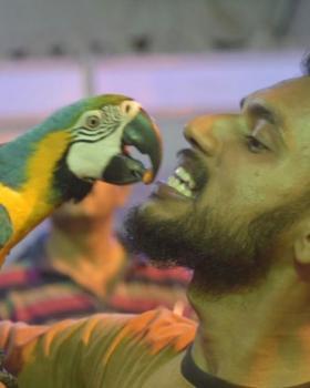 Hamza BaBa portfolio image3