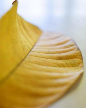 Mukil portfolio image2