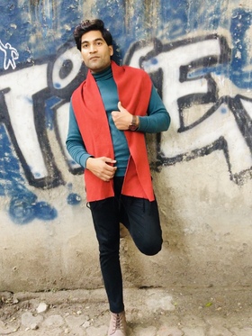 Sanju Nagarwal portfolio image4