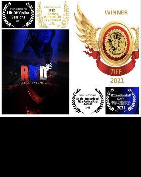 Ramesh R portfolio image2