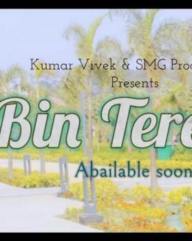 Kumar Vivek portfolio image1