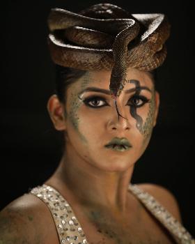 ShaKrish portfolio image3